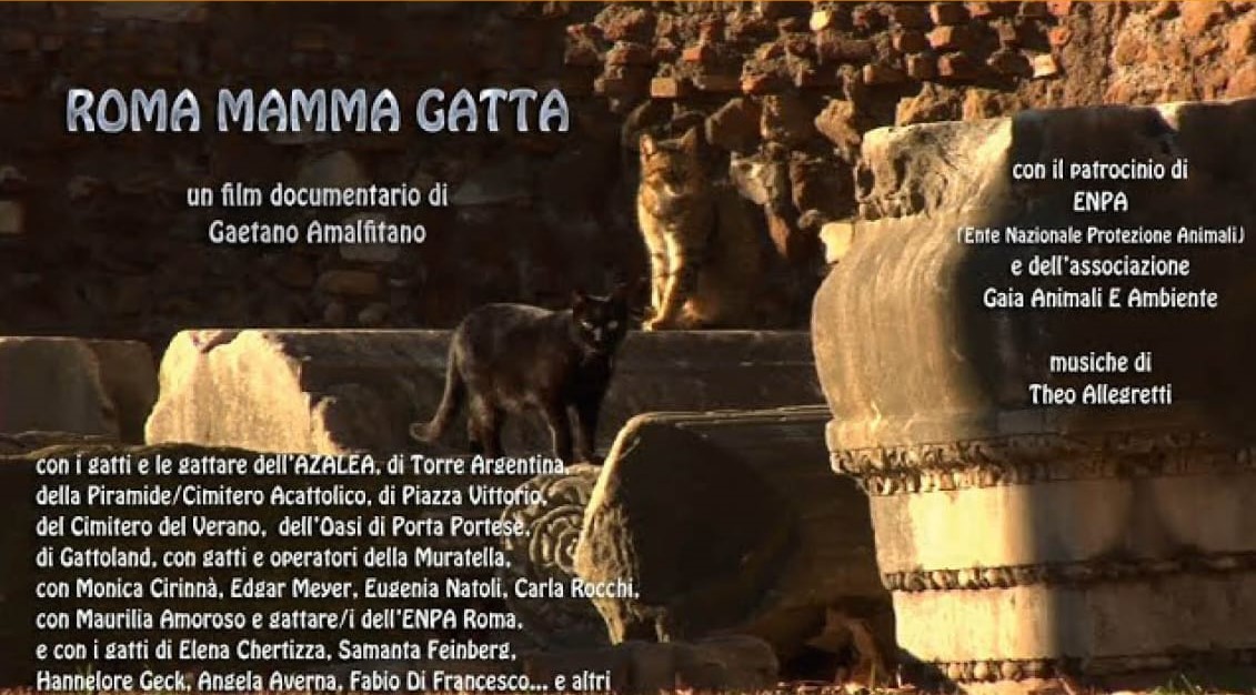 docufilm roma mamma gatta - copia